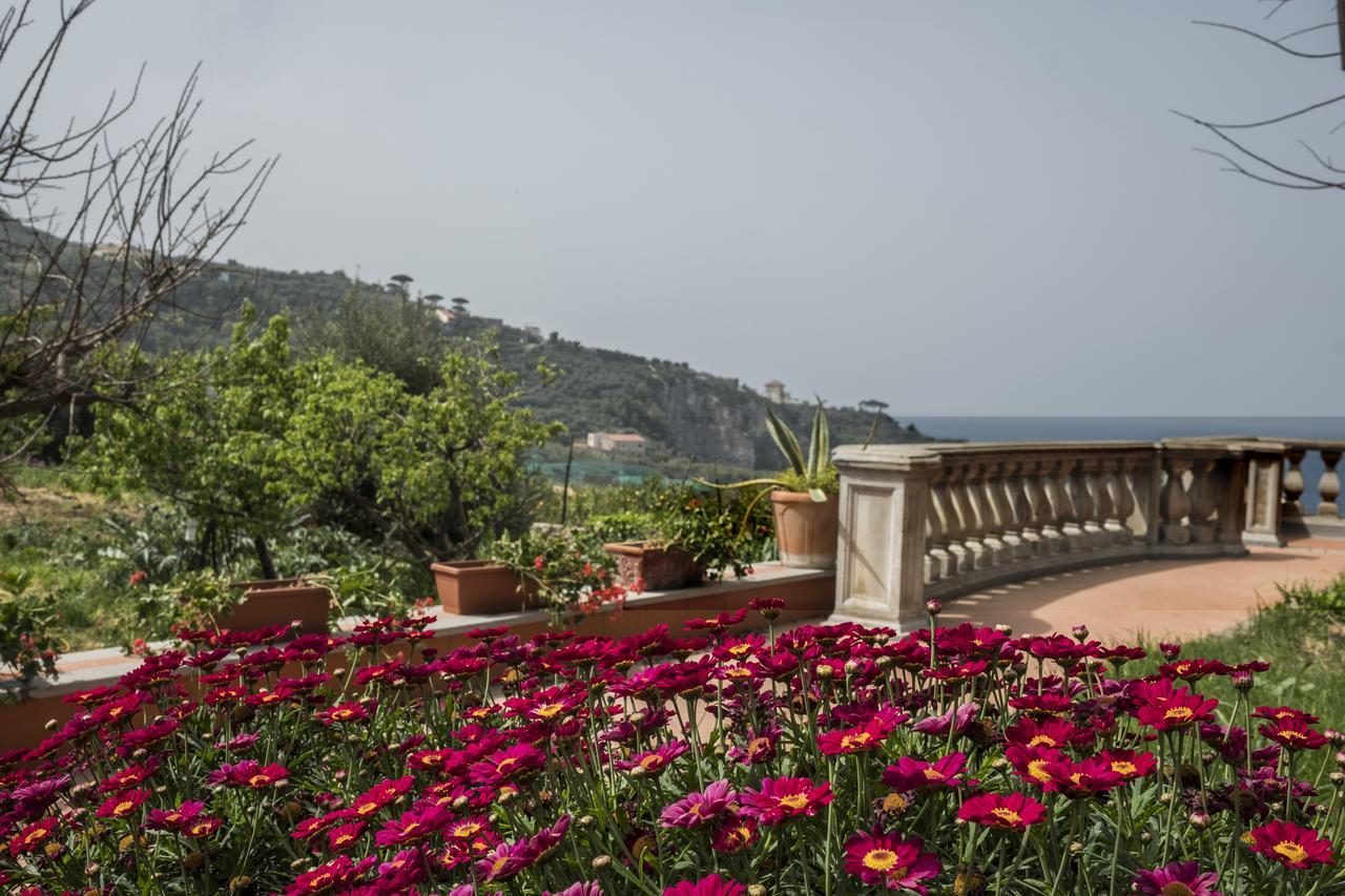 Faraglioni Di Sorrento Guesthouse Bagian luar foto